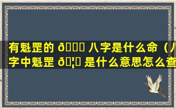 有魁罡的 🐈 八字是什么命（八字中魁罡 🦍 是什么意思怎么查找）